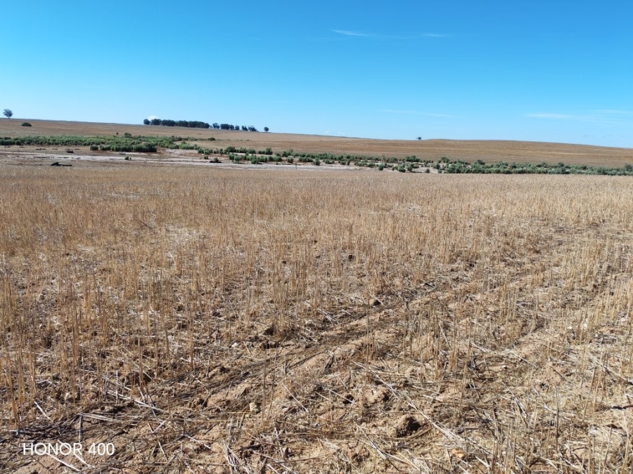 0 Bedroom Property for Sale in Hopefield Rural Western Cape